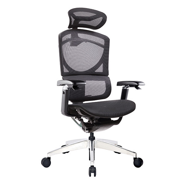 Buy cheap Double Back Support Mesh Ergonomic Executive Chair Automatic Back Supporting Lumbar from wholesalers