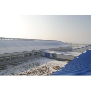 Buy cheap Q355B Steel Structure Cowshed Building with Sandwich Panel from wholesalers