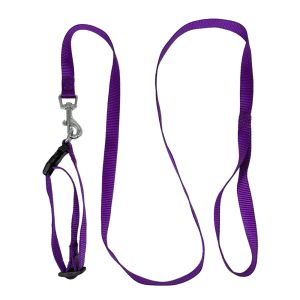 Buy cheap Durable Nylon Pet Collar Leash Set Comfortable Secure Stylish For Dogs Cats from wholesalers