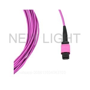 Buy cheap OS2 OM3 OM4 MPO MTP Fiber Optic Cable for 100 Gigabit Ethernet with Low Loss and Easy Migration from 10GbE to 40GbE or 100GbE from wholesalers