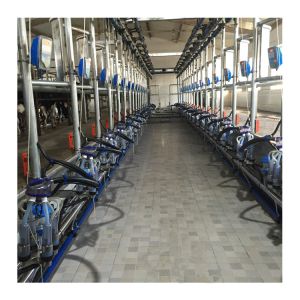 Buy cheap Electric goat Herringbone Milking Parlor with Automatic system from wholesalers