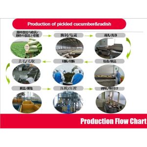 Spices Powder Pickled Sushi Wasabi Paste Tube Sour Taste