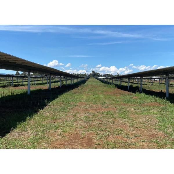 Quality Ground Mounting Solar PV Plant Tracker System Galvanized Steel Brackets for sale