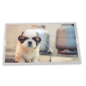 Buy cheap MV238QUM-N20T 23.8 TFT LCD Display Modules IPS with LED Backlight Multiple Interfaces-SPI LVDS MIP from wholesalers