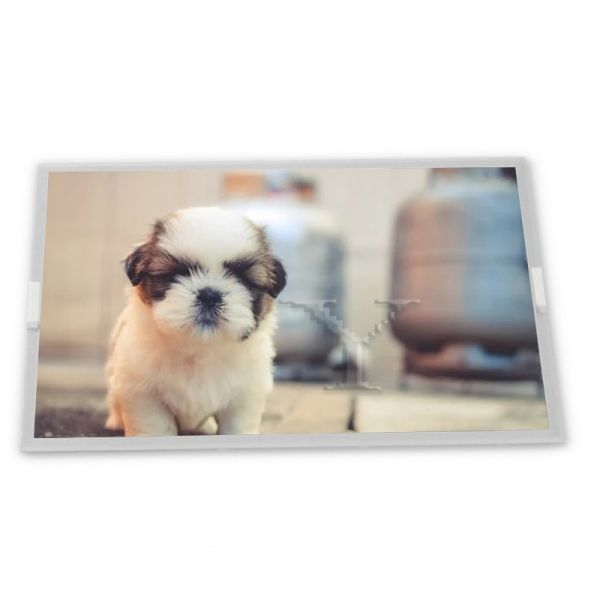 MV238QUM-N20T 23.8 TFT LCD Display Modules IPS with LED Backlight Multiple