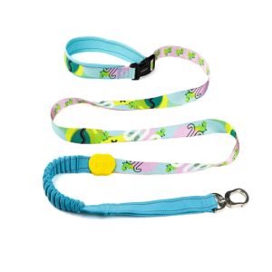Buy cheap Handsfree Anti Pull Dog Leash For Running Heavy Chain Dog Leash 6ft With Foam Handle from wholesalers