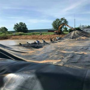 Buy cheap Hdpe Geomembrane Liner Geomembranas For Environmental Projects Waterproof Geomembranes from wholesalers