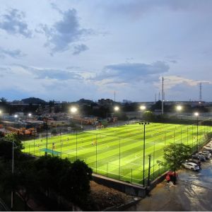 Shock Absorbing Artificial Soccer Lawn with 40-60mm Pile Height and 8 Years Life