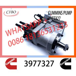 Buy cheap Cummins Diesel ISLE Engine Fuel Injection Pump 4902731 2872930 3977327 from wholesalers
