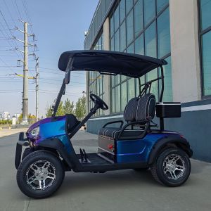 1740mm Wheelbase Two Seater Golf Cart With LCD Instrument Dashboard