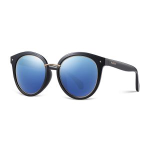Buy cheap Classical TAC Plastic Polarized Sunglasses Unisex Women Men Black Brown from wholesalers