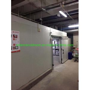 Buy cheap Small Walk in Freezer/Chiller for Vegetables Fruits Refrigerant Freon Cold Storage Room from wholesalers