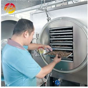 50Kg Fruit Vegetable Vacuum Freeze Drying Machine for Optimal Performance in