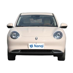 ORA Good Cat Pure Electric 5 Seater Hatchback Cars High Class And Exquisite
