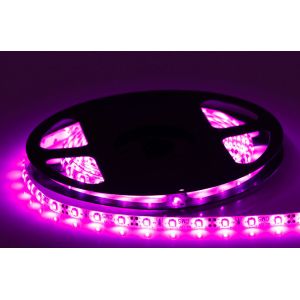 Buy cheap Remote Controller SMD 3528 LED Strip Light Cct Adjustable Rgb 60 Led / M 24V from wholesalers