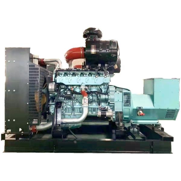 250kw Biomass Generator/ Methane Gas Generator/ Farm Animal Waste Biogas