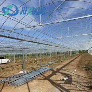 Buy cheap Transform Your Farming Experience with Tomato Cucumber Strawberry Hydroponics System from wholesalers