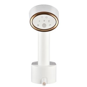 Buy cheap Fast Heat Portable Handy Iron Garment Steamer 220V No Water Protection for Jetsetters from wholesalers