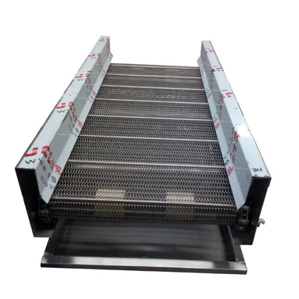 BV Different Models of Assembly Line Packing Roller Conveyor
