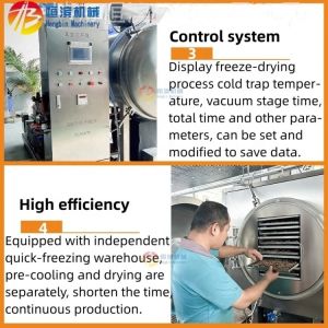 50Kg Fruit Vegetable Vacuum Freeze Drying Machine for Optimal Performance in