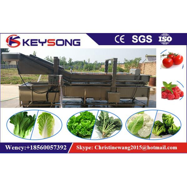 Industrial Bubble Vegetable Washer Machine , Big Capacity Vegetable Processor