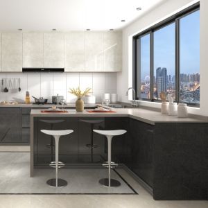 Sleek Supplier Gloss Lacquer Kitchen Cabinet with Practical Accessories