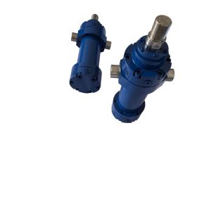 Customized Rear Hydraulic Jack Legs with Hard Chrome Plated Piston Rod for Waste