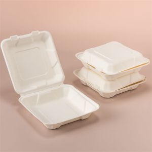 8Inch Clamshell Food Containers Compostable Bagasse Food Box