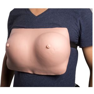 Buy cheap Breast Examination Gynecologic Simulator With Wear Belt product