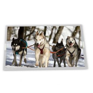 Buy cheap B080UAN01.3 8inch TFT LCD Display Modules Quality supplier Rectangular screen supplier lcd panel from wholesalers