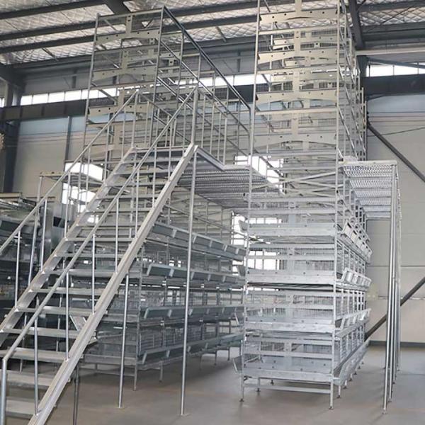 Buy cheap High Efficiency Layer Hen Cages , 3 Phase Pyramid / H Type Battery Cages from wholesalers