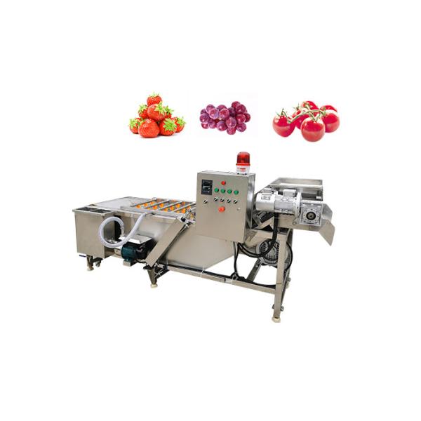 Quality Lifting 380V 3.75KW 500kg/H Vegetable Washing Machine for sale