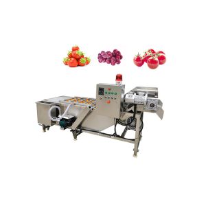 Buy cheap Vegetable Fruit SUS304 500kg/h Air Bubble Washing Machine from wholesalers
