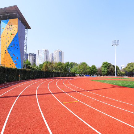 Breathable Rubber Granules Synthetic Running Track Surface EPDM Recycled Rubber