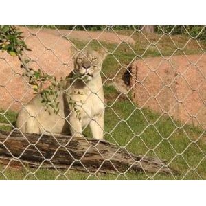 Stainless Steel Lion Enclosure Wire Rope Mesh-lion wire mesh