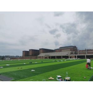 Buy cheap Advanced Weaving Technique Synthetic Grass Field With Disease Resistant Yarn from wholesalers