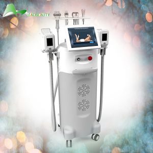 Buy cheap Popular cryolipol 2 cryo heads 1 monopolar RF Firming head 1 multi-level RF Firming head from wholesalers