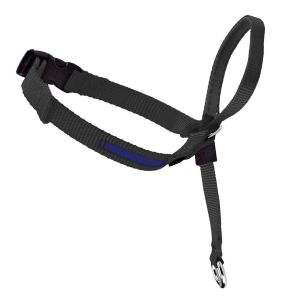 Buy cheap Nylon Dog Head Collar Halter For Dog Better Leash Manners Customized Logo from wholesalers