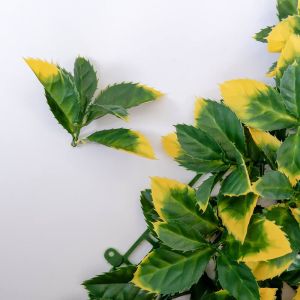 Customized Plastic Plant Artificial Green Walls Enviromental Friendly