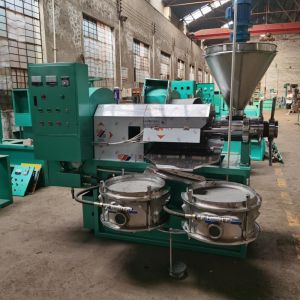 Buy cheap Edible Oil Peanut Coconut Oil Processing Machine Cold & Hot from wholesalers