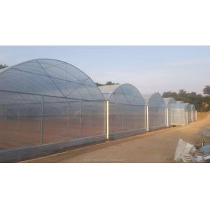 Buy cheap Super Strong Resistance Multi Span Agricultural Greenhouse By Shine Tech from wholesalers