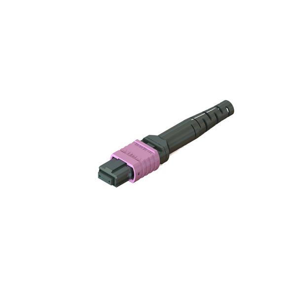Buy cheap MPO Fiber Connector with Different Ferrule Materials Body and Boot Colors from wholesalers