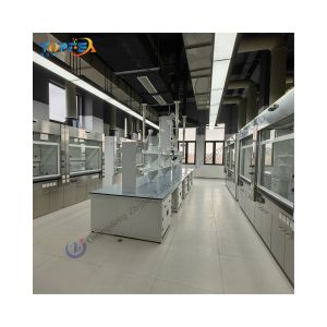 Customizable Lab Island Bench for Laboratories with High Standards and