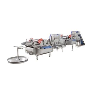 Vortex Type Leaf Vegetable Washing Machine 1000kg/h Salad Vegetable Cutting And