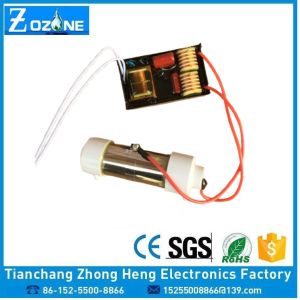 60HZ 1000mg/Hr Ozone Resistant Hose Generator Ozone Quartz Tube