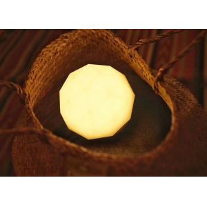 Buy cheap Voice Controlled Led Night Lamp Speech Recognition Interactive Technology from wholesalers