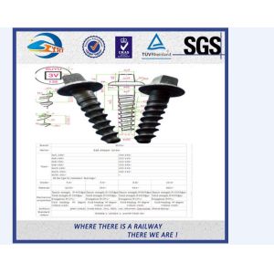 Customized Standard 35# Double-Head Railway Sleeper Screws Rail Fasteners