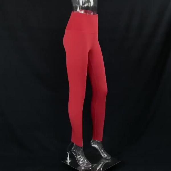 Quality Colourful High Waisted Seamless Gym Leggings Snagging Resistance for sale