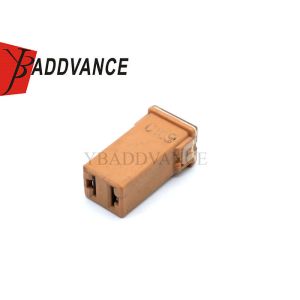 Buy cheap Female Electrical Housing Auto Wire Harness 2 Pin Terminals Connector Micro Cartridge Fuses 30 AM 06102076AA from wholesalers