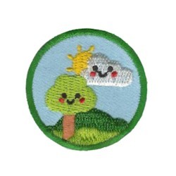 Buy cheap Shrink Proof Iron On Environmental Patches Pantone Embroidery School Badge from wholesalers